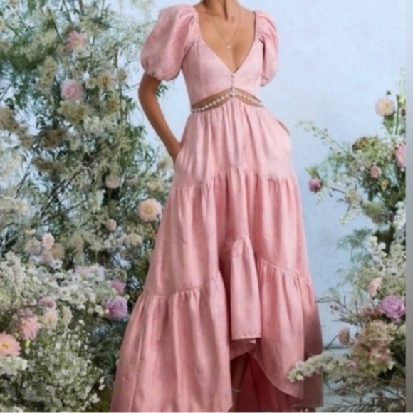 NWT V. Chapman The Emma Dress In Light Pink Windsor Brocade Floral Rhinestone 10 - Picture 4 of 13